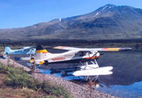 Soldotna Chamber of Commerce & Visitor Center